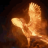 phoenixe